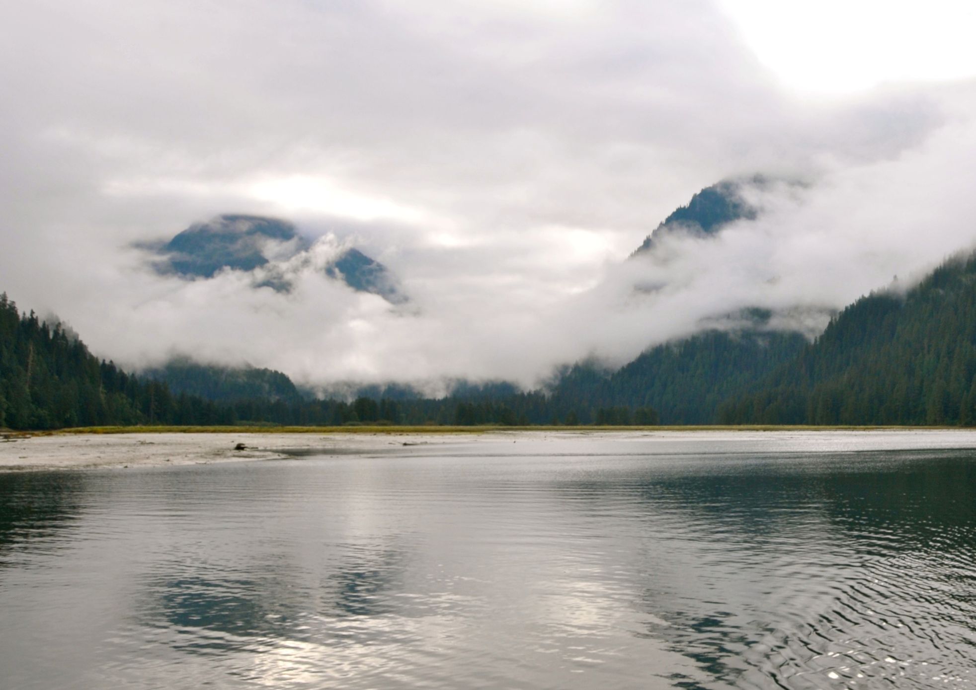 Great Bear Rainforest